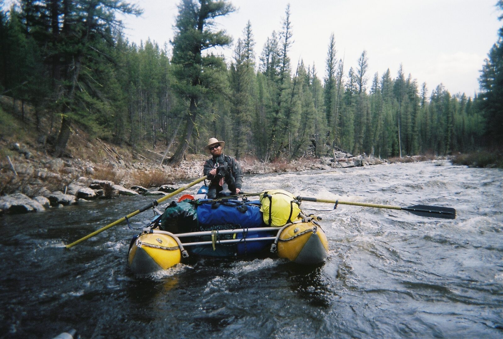 A loaded cataraft running a forested whitewater river, rower and dog aboard.